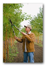 Prestiti per braccianti agricoli - lavoratori stagionali Prestiti per braccianti gricoli - lavoratori stagionali